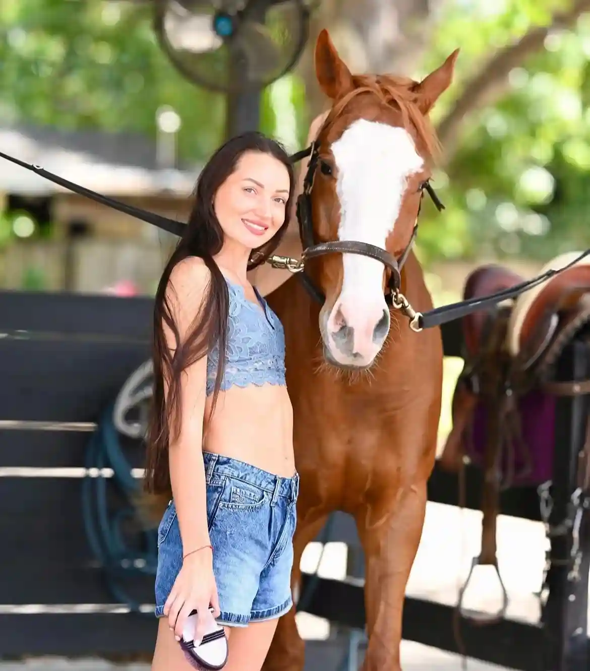 Pony Ride 3